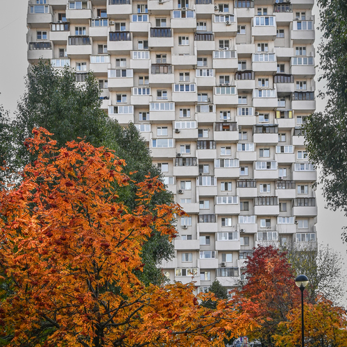 Photo #14258045