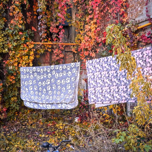 Photo #14258099