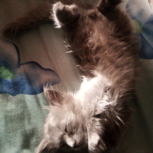 Photo #14258803