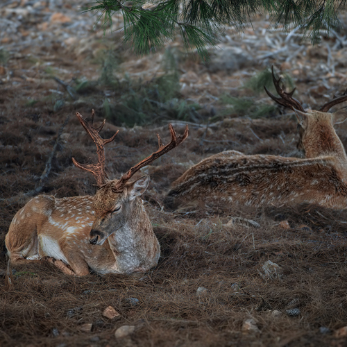 Photo #14258914