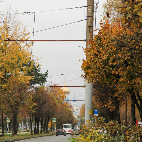 Photo #14258922