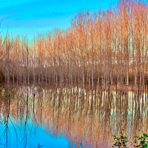 Photo #14259367