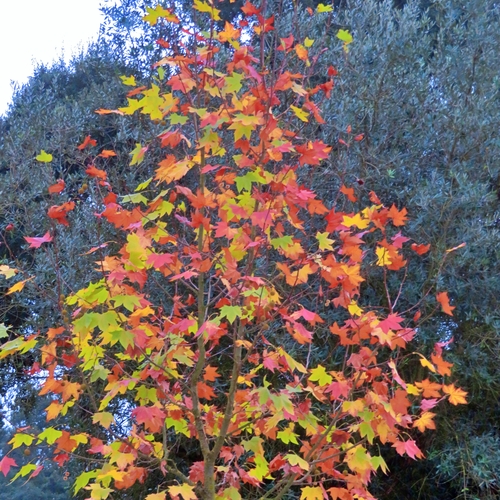 Photo #14259378
