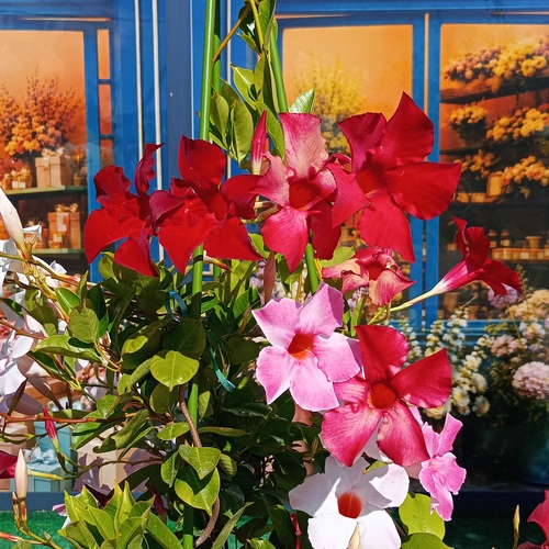 Photo #14259678