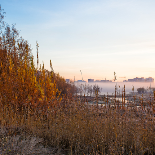 Осенний туман в городе.