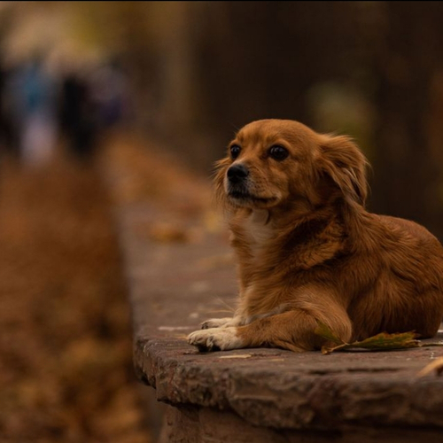 Photo #14259968