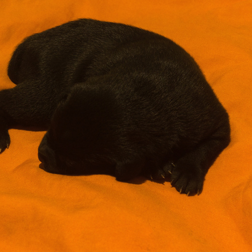 Photo #14260439