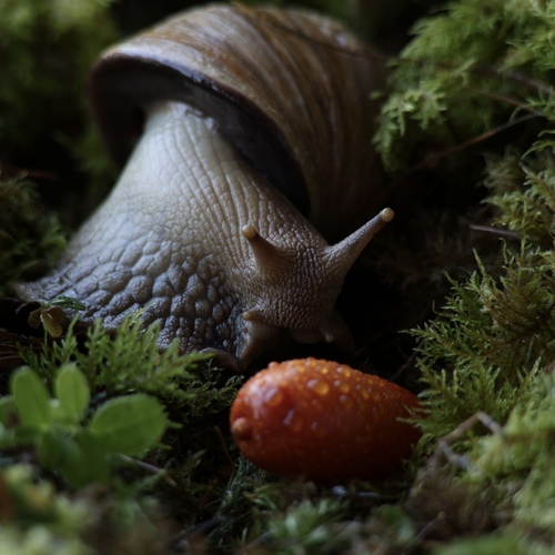Photo #14263307