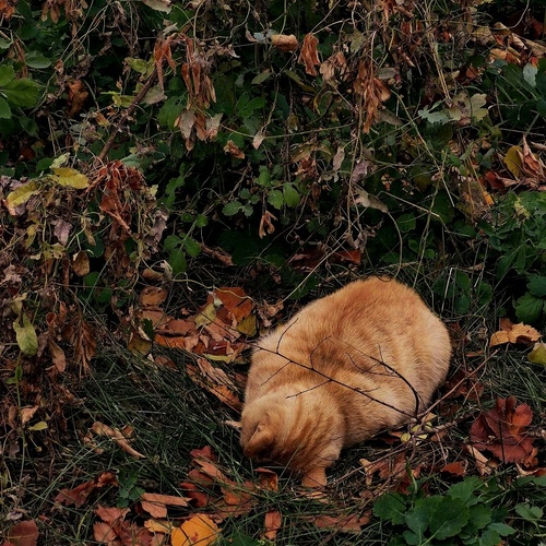 Photo #14263354
