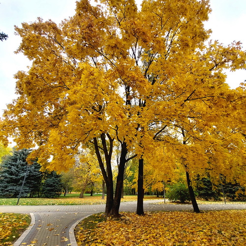 Photo #14263858