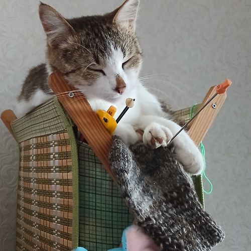 Photo #14264528