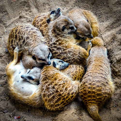 Photo #14265180