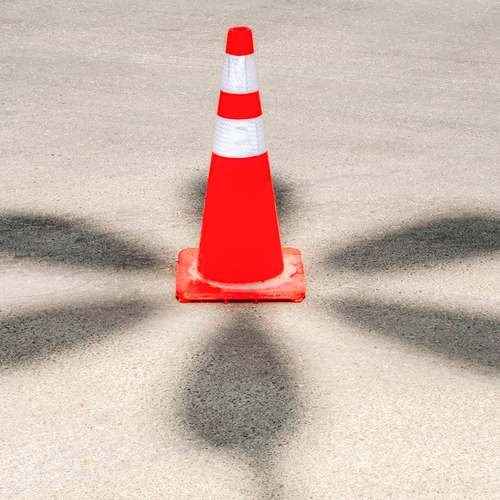 Cone Bloom