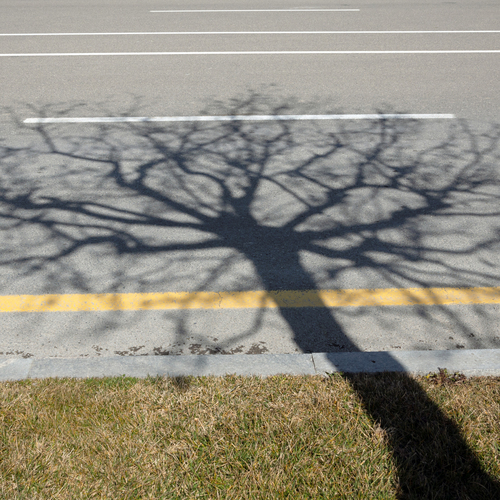 Photo #14265295
