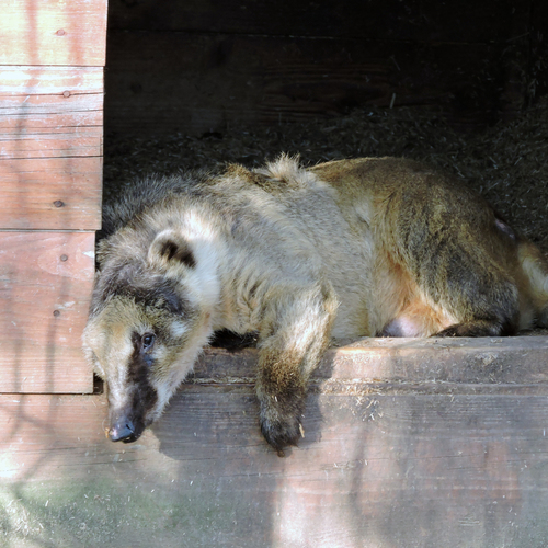 Photo #14266102