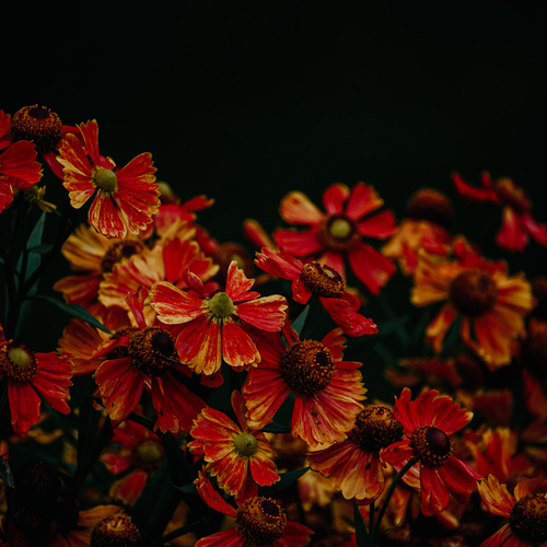 Photo #14266277