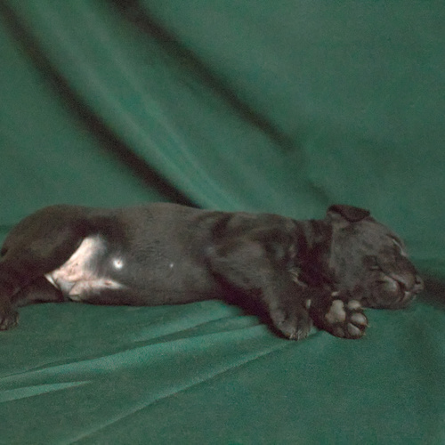 Photo #14266874