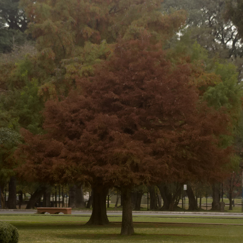 Photo #14267345