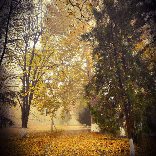 Photo #14267351