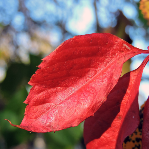 Photo #14267849