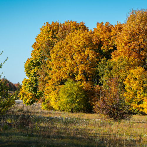 Photo #14268827
