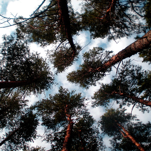 Photo #14269167