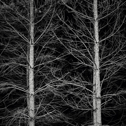Photo #14269470