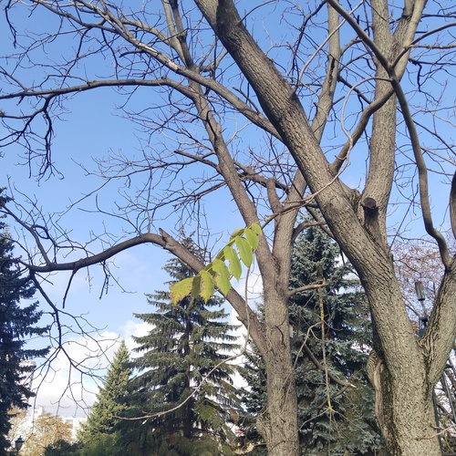 Photo #14269674