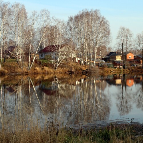 Photo #14270530