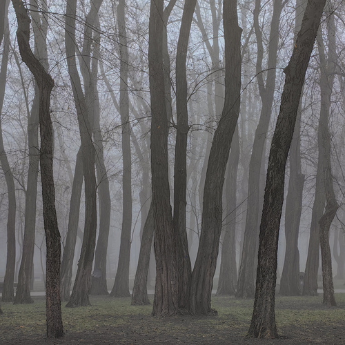 Photo #14271628