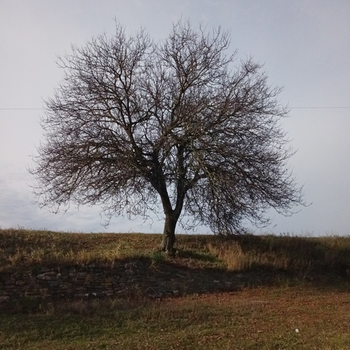 Photo #14272993
