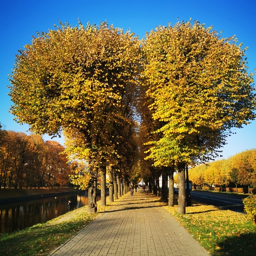 Photo #14273537