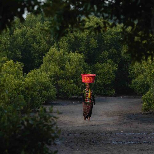Fish Vendor