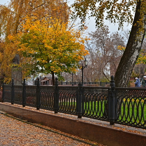 Photo #14276278