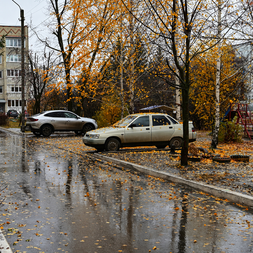 Отражения осеннего дождя
