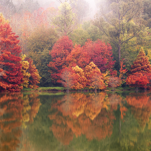 Photo #14279226