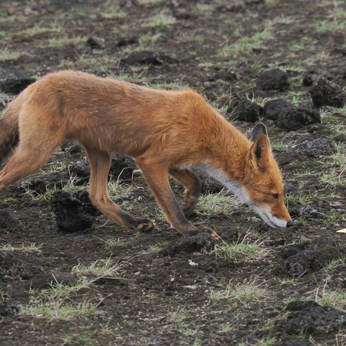 Photo #14279478