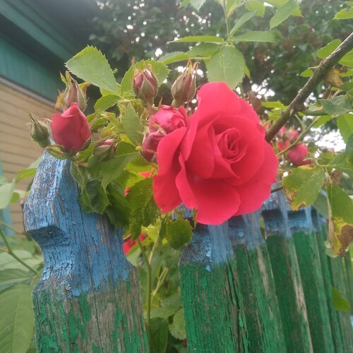 Photo #14280426