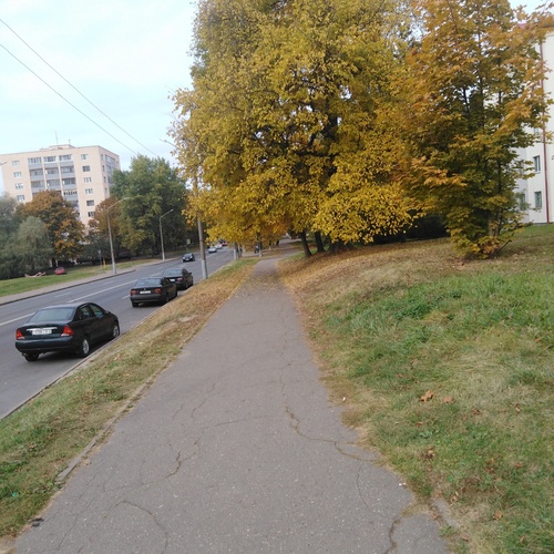 Photo #14280533
