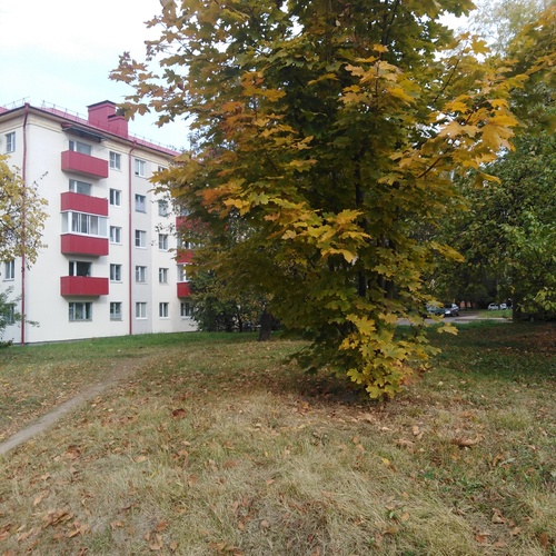 Photo #14280552
