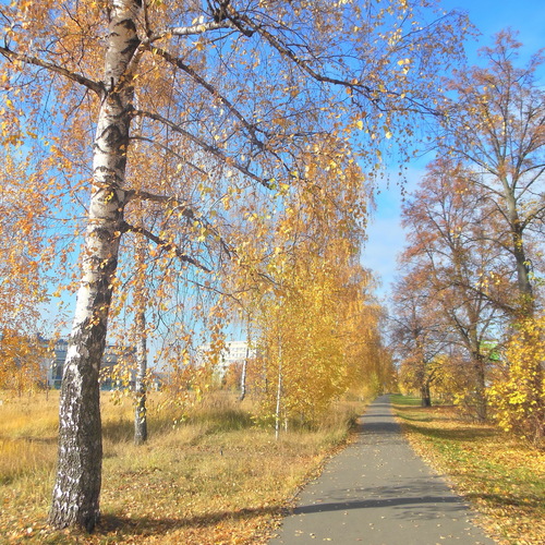 Photo #14282243