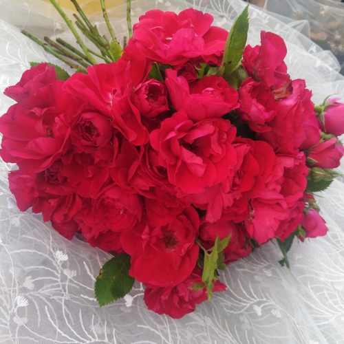 Photo #14283013