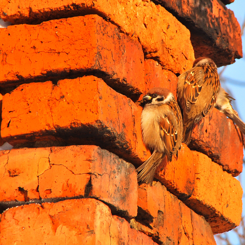 Photo #14283296