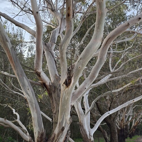 Photo #14284300