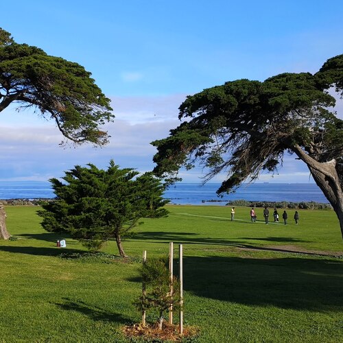Photo #14284304