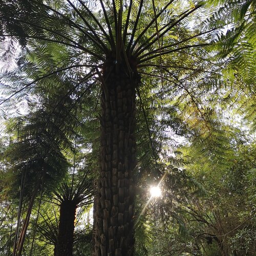Photo #14284352