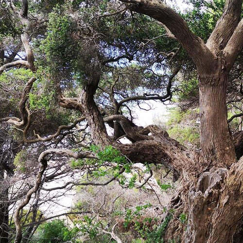 Photo #14284362