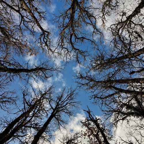 Photo #14285075