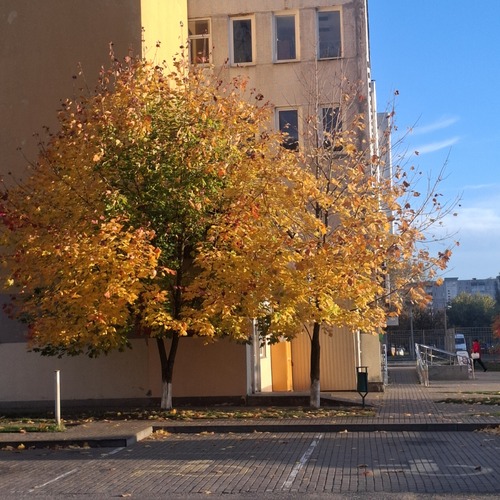 Photo #14285493