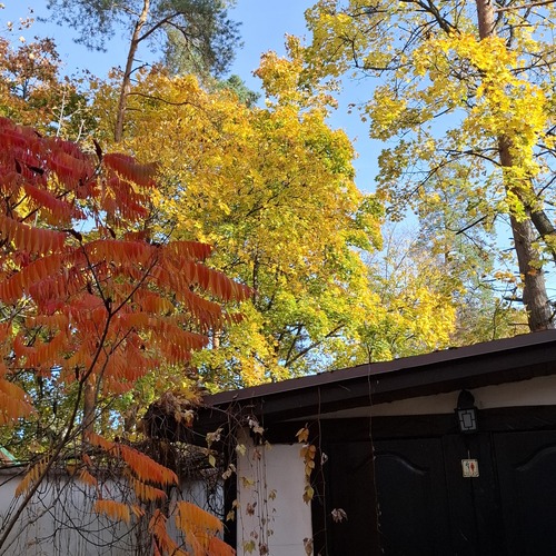 Photo #14285494